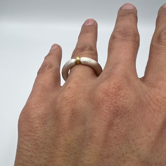 ANILLO VIDA